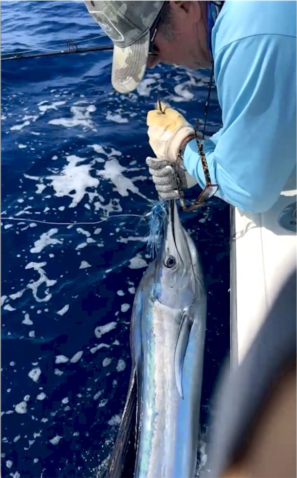 ON SALE! - Only $8.99 Rigged! Steel Head Chromed & Aluminum Trolling Lures Tormenter Ocean