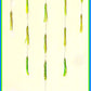 ON SALE! 15% 0FF... 36" Sidewinder Directional Bars Daisy Chains & Multi Bait Rigs Tormenter Ocean 