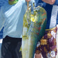 ON SALE! - Only $8.99 Rigged! Steel Head Chromed & Aluminum Trolling Lures Tormenter Ocean 