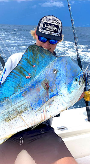 best lures for dolphin fish Bost Tuna-Dolphin Trolling Lure Pack Mahi Mahi & Tuna Compare to Black Bart : Sports & Outdoors Great for trolling Salmon Lures Dolphin Tackle Company Ocean