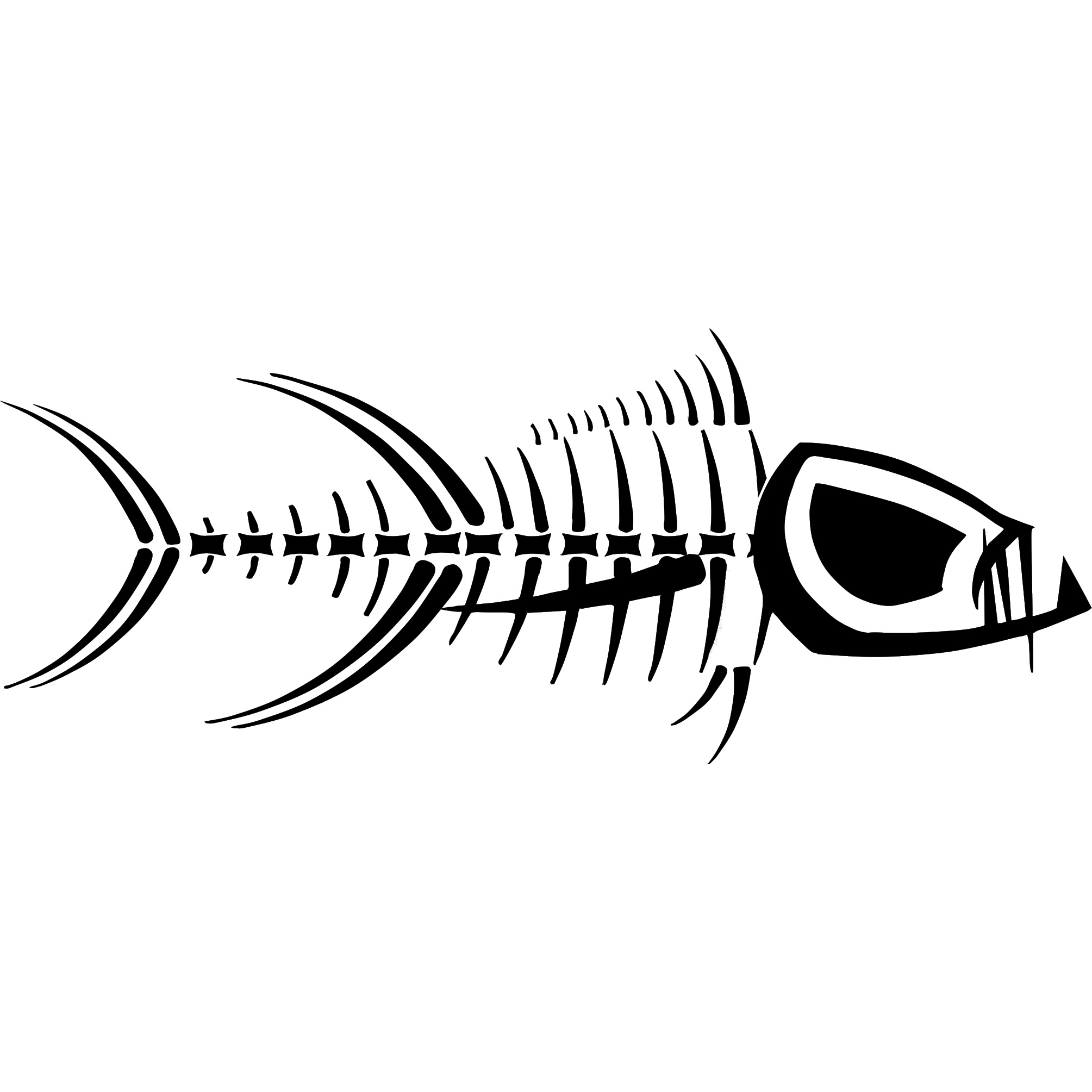 Tormenter Fishing Tackle | Fishing Apparel | Performance Apparel